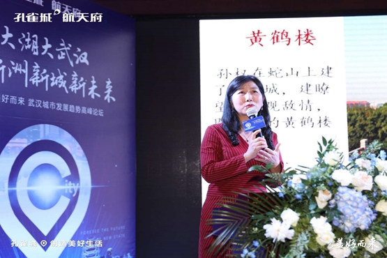 大江大湖大武汉 新洲新城新未来(图5)