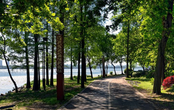 在晚霞湖边，陪你一起过清凉夏天(图2)